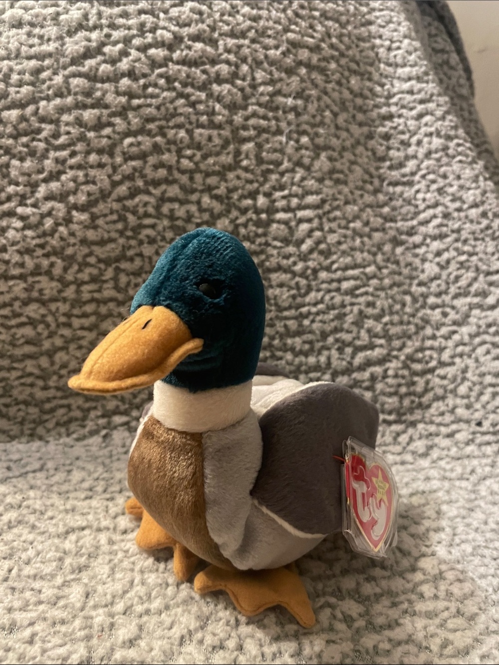2/15$ Ty Beanie Baby”Jake” Mallard Duck